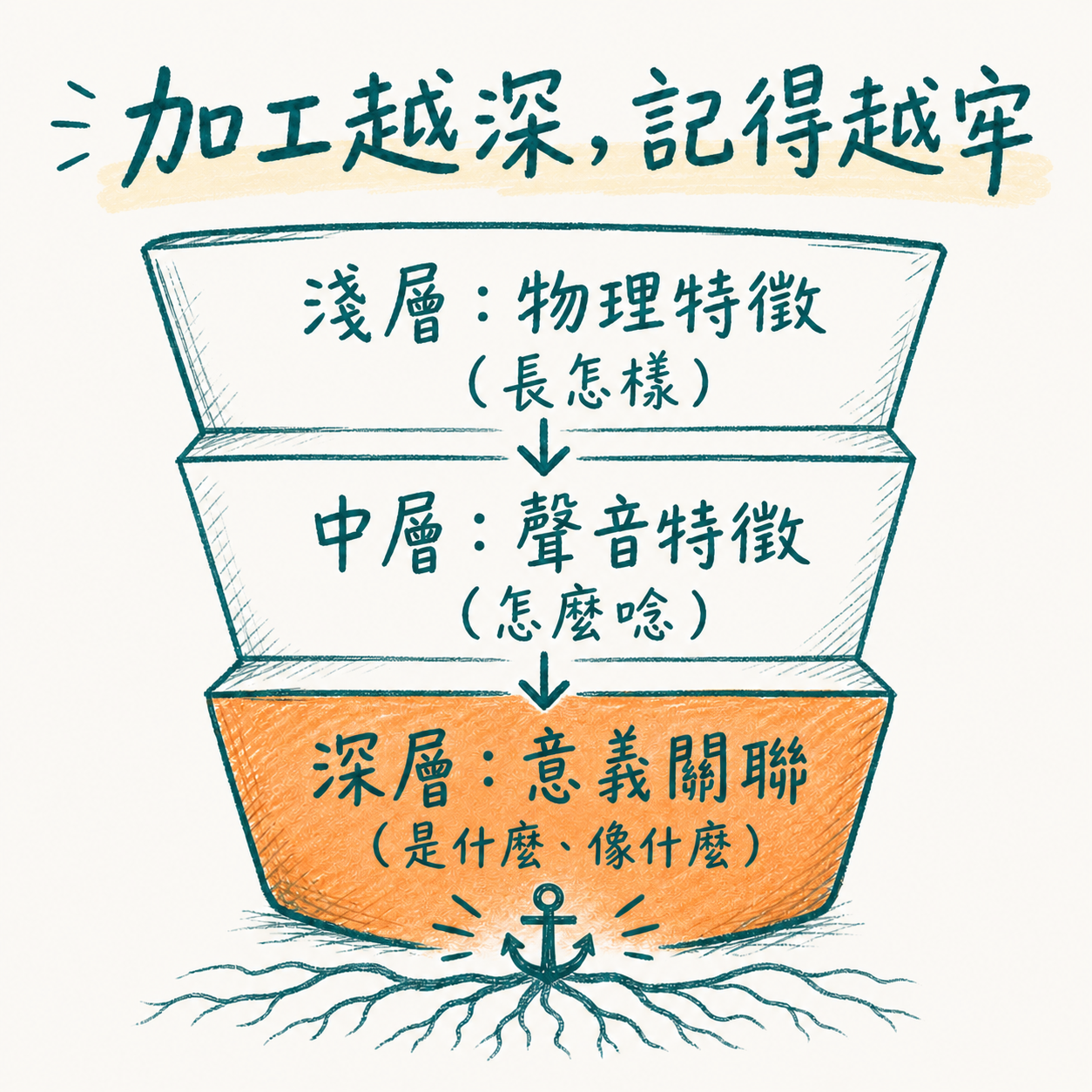 處理層次理論:淺層看物理特徵、中層看聲音特徵、深層看意義關聯,處理越深記得越牢